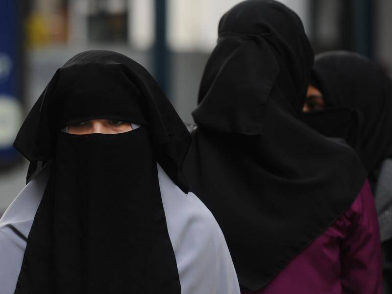 Denmark has approved a ban on the use of full-face veils in public spaces from August 1.