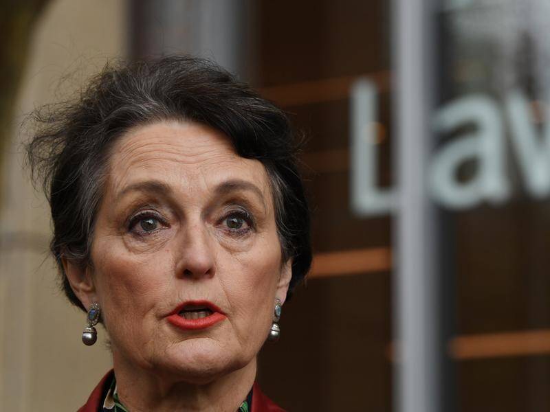 NSW Families Minister Pru Goward says the state government is adopting child safe standards.