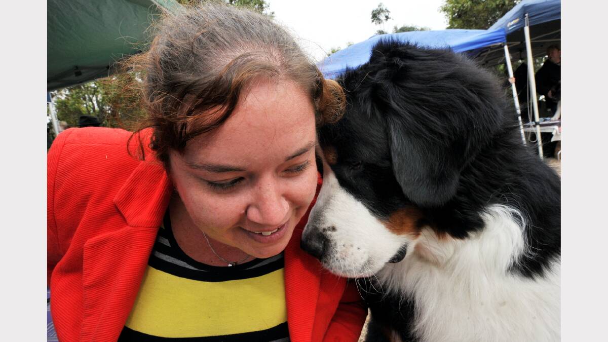 Catherine Evans with Sherman the Bernese Mountain Dog
 PIC: JEREMY BANNISTER