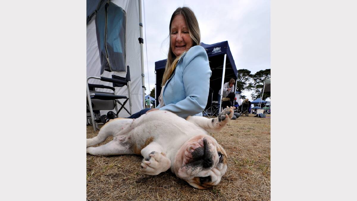 Lola the British Bulldog with owner Carolyn Thomas
PIC: JEREMY BANNISTER
