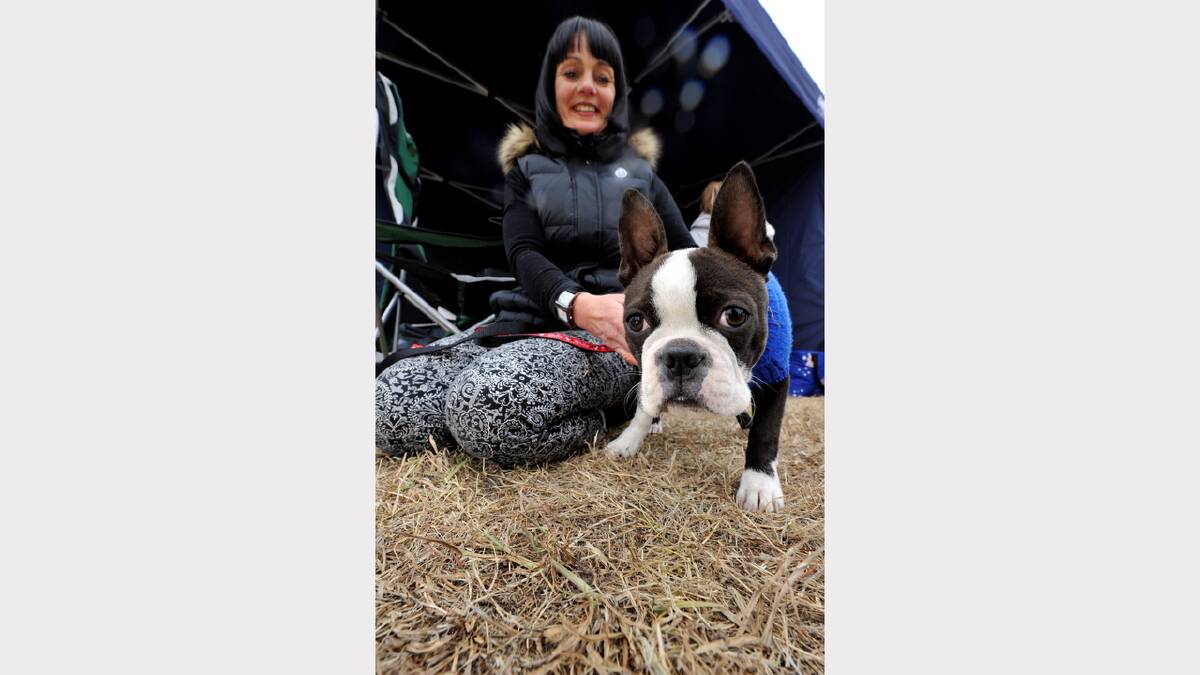 Murphy the Boston Terrier with Debbie Monks
PIC: JEREMY BANNISTER