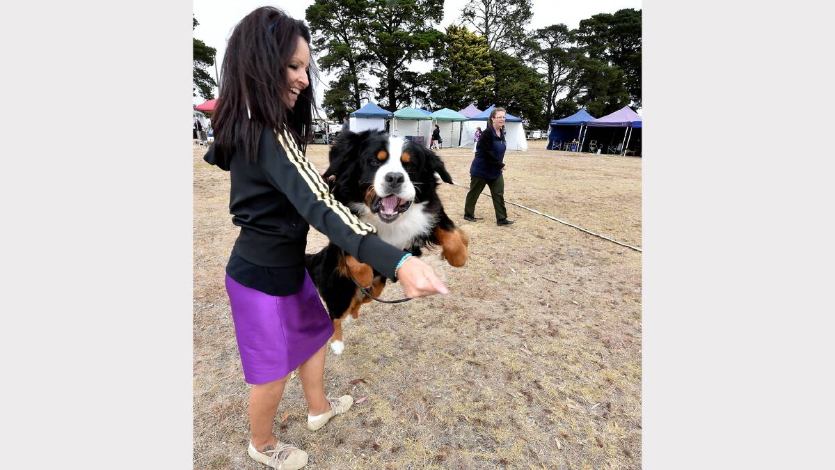 Megan Clark with Ripley the Bernese Mountain Dog
PIC: JEREMY BANNISTER