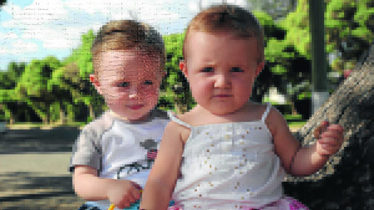 TWICE THE FUN: Max and Jasmine Lymer, 18 months, celebrate Multiple Birth Awareness Week. Picture: 	Anthony Stipo