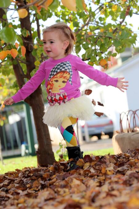 PICTURE PERFECT: Chiara Zanatta, 22 months, has a great time playing among the autumn leaves. Picture: Anthony Stipo
