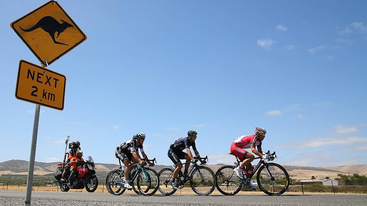 A group of break-away riders rides past a roadsign warning of kangaroos during Stage Five of the Tour Down Under. Photo:Getty.