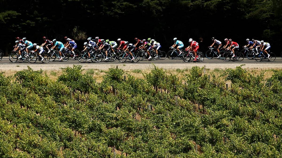 he peleton rides past vinyards during Stage Five of the Tour Down Under. Photo: Getty.
