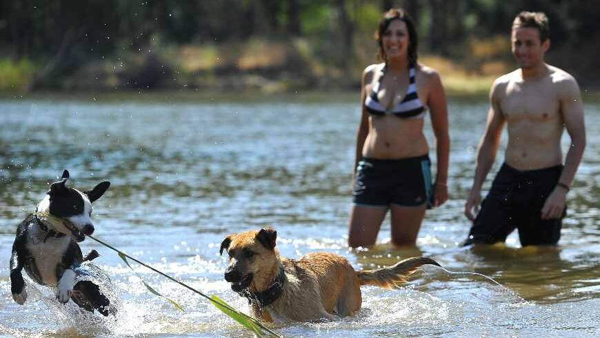 Jess Brown and Simon Fletcher watch on as Bella and Dexter have a splash at Wagga Beach. Picture: Addison Hamilton