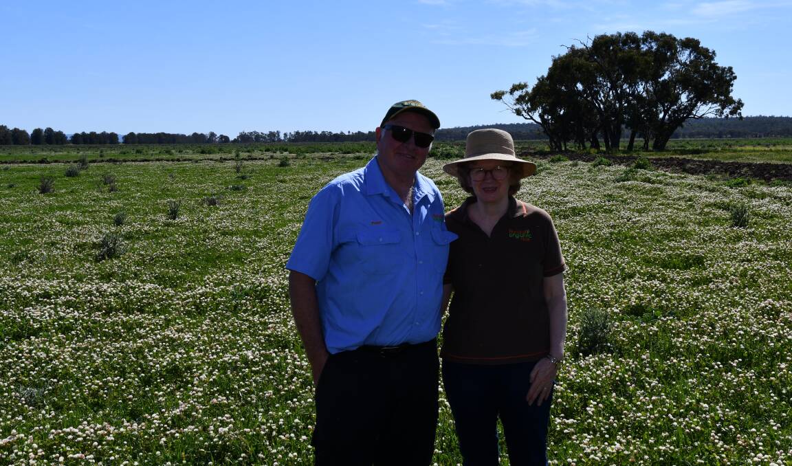Peter and Jenny Randall standing on their clover laden future rice field which was unused during last season. PHOTO: Robbie Falzon