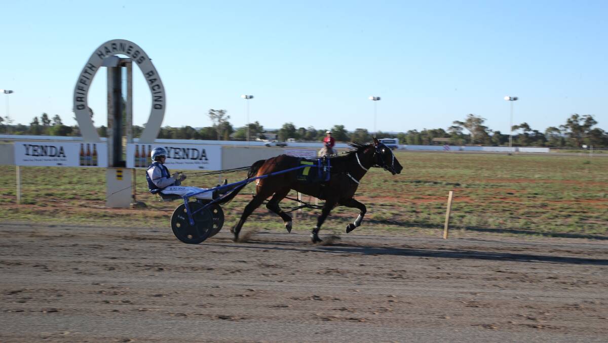 THEY'RE OFF: Harness racing at Dalton Park on Tuesday.