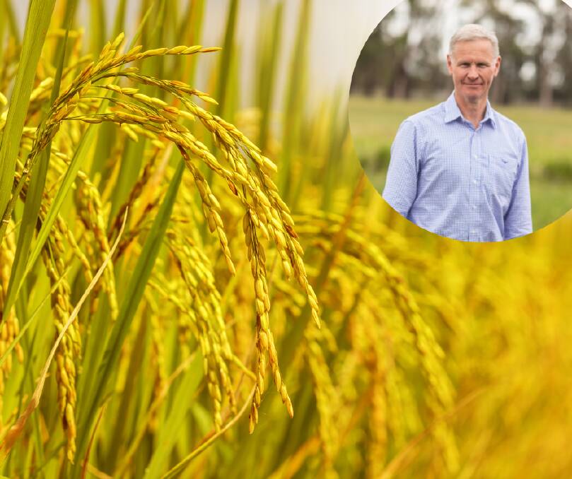 AgriFutures Australia John Harvey said the new roadmap for rice research and development is about making the crop more financially and environmentally sustainable. 