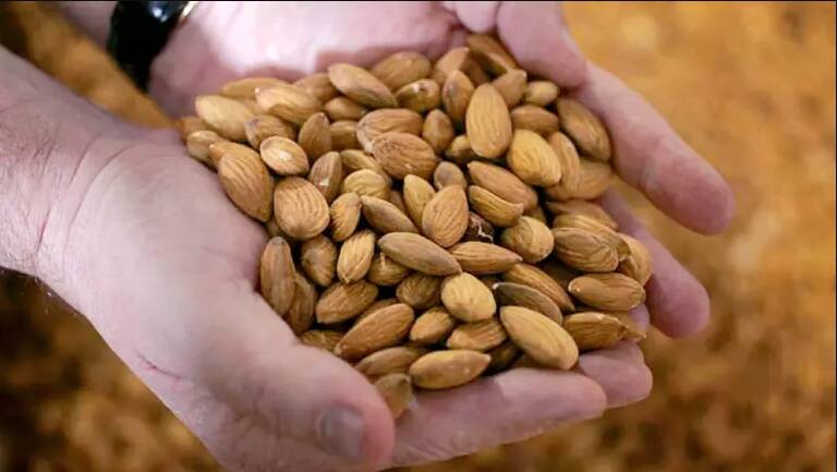 GO NUTS: Almonds can provide an alternative for calcium if you are intolerant to lactose.