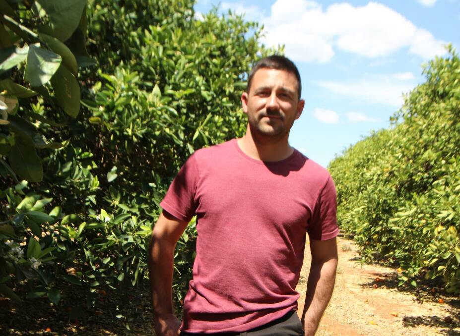 Griffith and District Citrusgrowers Association secretary Vito Mancini believes a cultural change is needed to address a farm labour shortage.