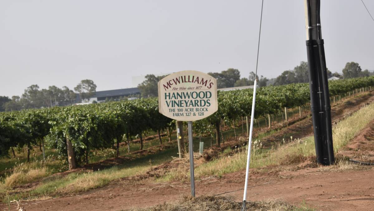 Deal to save McWilliam's winery welcomed by industry