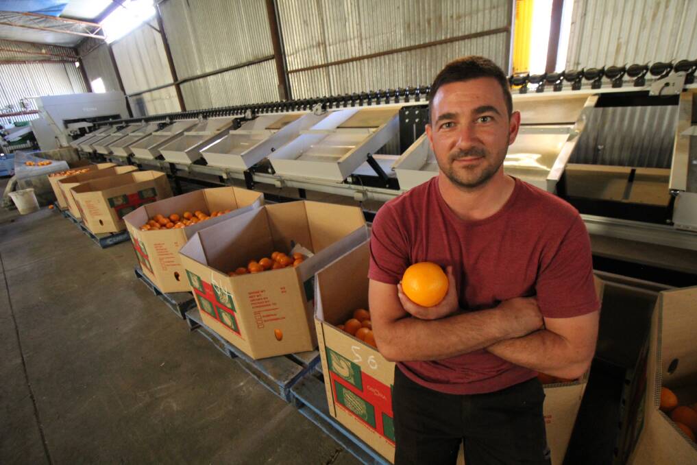 Griffith and District Citrus Growers Association secretary Vito Mancini said a proposed change to the health star rating of fresh orange juice with no additives could have a huge negative impact on the MIA.