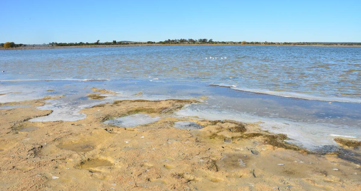 PROGRESS: Griffith City Council will spend $2 million to improve the quality of water entering Lake Wyangan. PHOTO: Declan Rurenga