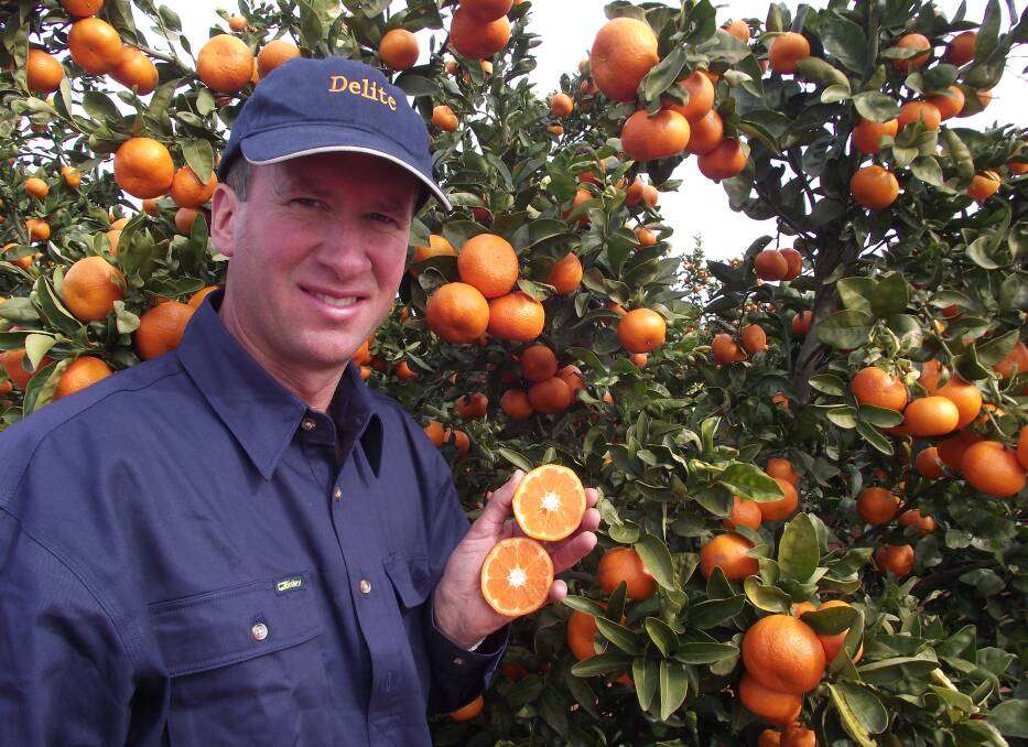 VOICE: Leeton citrus grower Dean Morris will address Citrus Australia's technical forum in Adelaide in March. Photo: Contributed