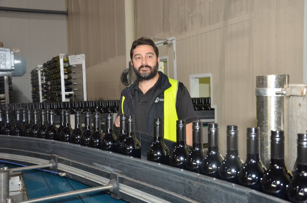 UPGRADE: Calabria Family Wines general manager Michael Calabria examines the winery's bottling line. PHOTO: Declan Rurenga