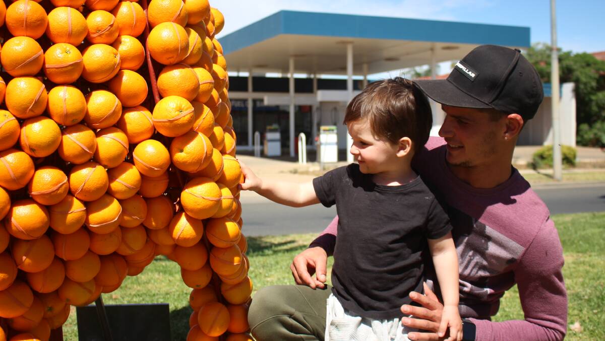 FRESH: Jack Tyndall and Kyle Dawson take a close look at one of the citrus sculptures last year. PHOTO: Jacinta Dickins