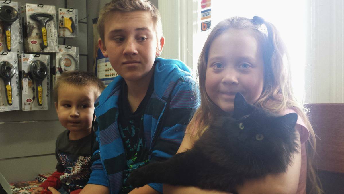 Harrison (3), Bryson (11) and Makyah (7) are reunited with Shadow after his ordeal.