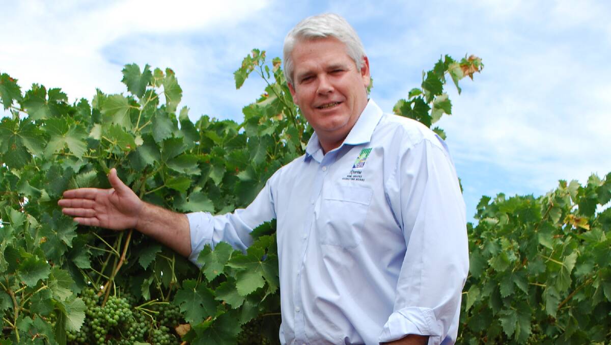Wine Grapes Marketing Board CEO Brian Simpson is questioning the viability of the industry as growers consider pulling up their vines.