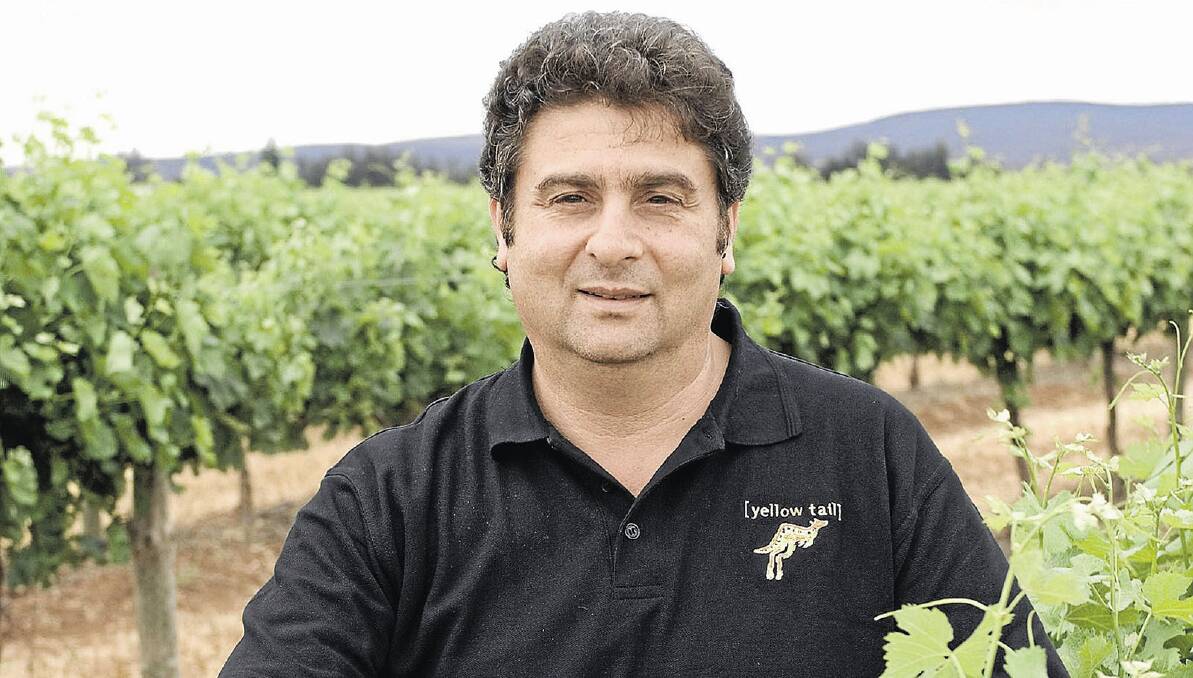 LOSS: John Casella admires his produce. Despite a solid season for the company’s grapes, the high Australian dollar has resulted in a significant financial loss.