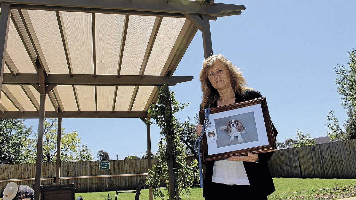 BIG LOSS: Stephanie Dickie holds a picture of her beloved co-worker Harry, after a service at Scalabrini Village remembering the pet therapy dog.