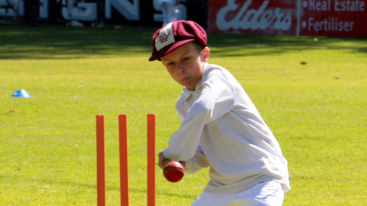Luca Sergi at the crease for junior cricket. Picture: Anthony Stipo